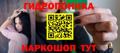 a pvp Шебекино