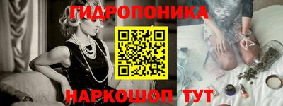 a pvp Шебекино