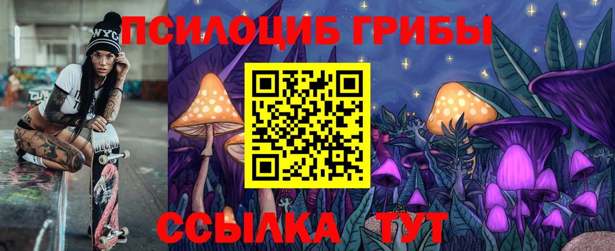 Елабуга  Псилоцибиновые грибы GOLDEN TEACHER  Вход с VPN  Галлюциногенные грибы ЛСД 